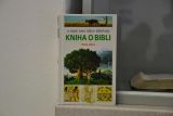 2013-04-02-bible-vcera-dnes-a-zitra-vyskov-0001-0087