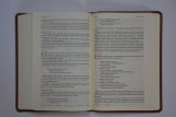bible21-imitace-kuze-hneda-0007