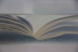 2014-11-17-mesic-bible-karlovy-vary-1054