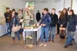 2014-11-17-mesic-bible-karlovy-vary-1155