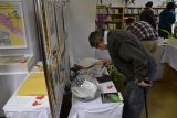 2012-01-30-vystava-bible-vcera-dnes-a-zitra-michalovce-0015