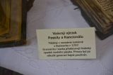 Vystava-Bible-Ruzomberok-0456